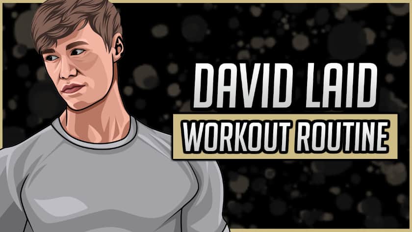 David Laid's Workout Routine & Diet