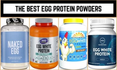 The Best Egg Protein Powders