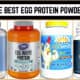 The Best Egg Protein Powders