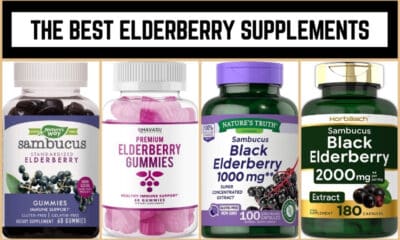 The Best Elderberry Supplements