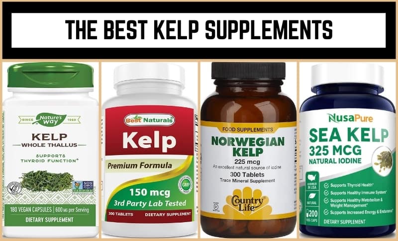 The Best Kelp Supplements