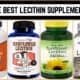 The Best Lecithin Supplements