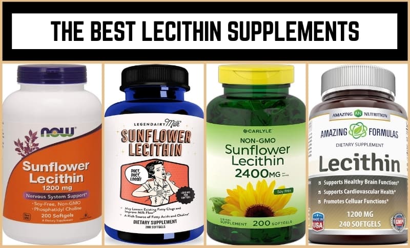 The Best Lecithin Supplements