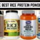 The Best Rice Protein Powders