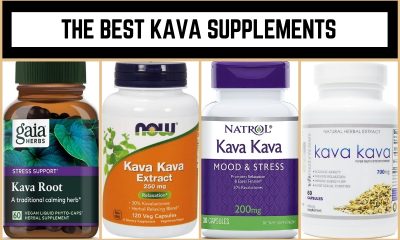 The Best Kava Supplements