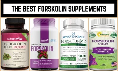 The Best Forskolin Supplements