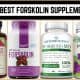The Best Forskolin Supplements