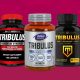 The Best Tribulus Supplements