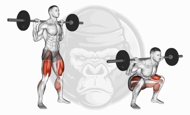 Best Barbell Exercises - Back Squats