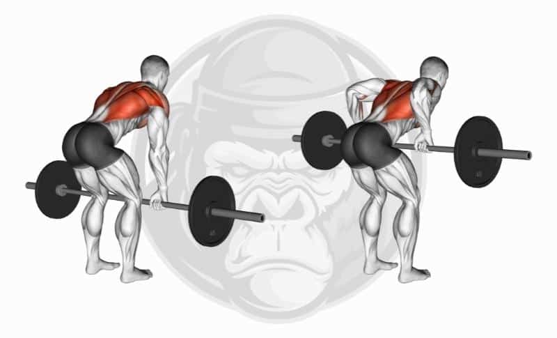 Best Barbell Exercises - Bent Over Rows