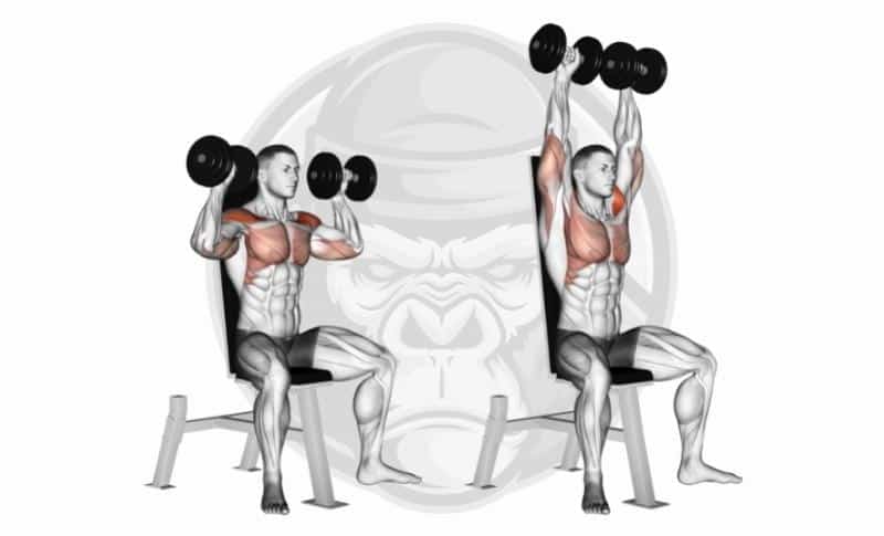 Best Dumbbell Exercises - Shoulder Press