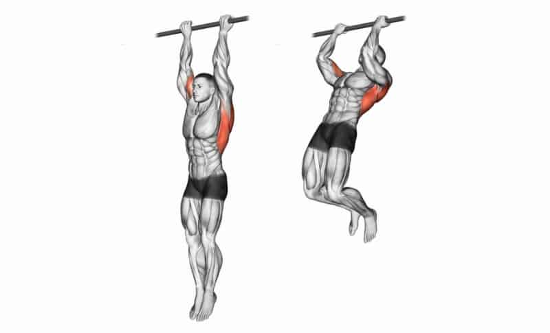 Best Bicep Exercises - Chinups