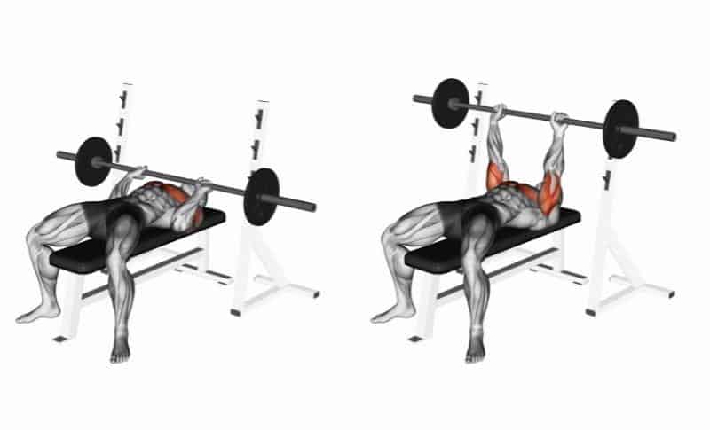 Best Lower Chest Exercises - Barbell Bench Press