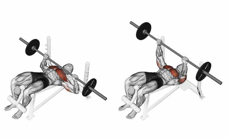 Best Lower Chest Exercises - Decline Barbell Bench Press