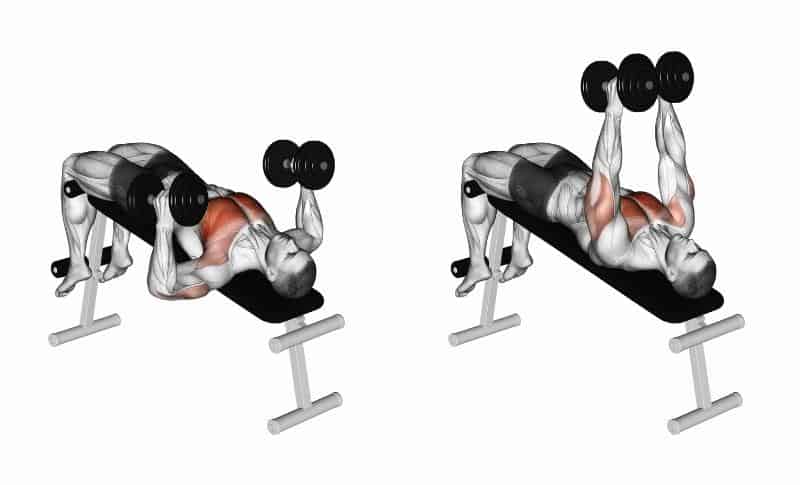 Lower chest dumbbell discount workout