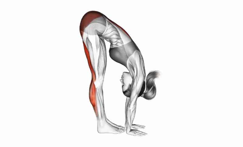 Best Mobility Exercises - Standing Roll Downs