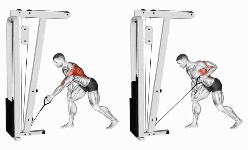 Best Scapular Exercises - Reach and Rows