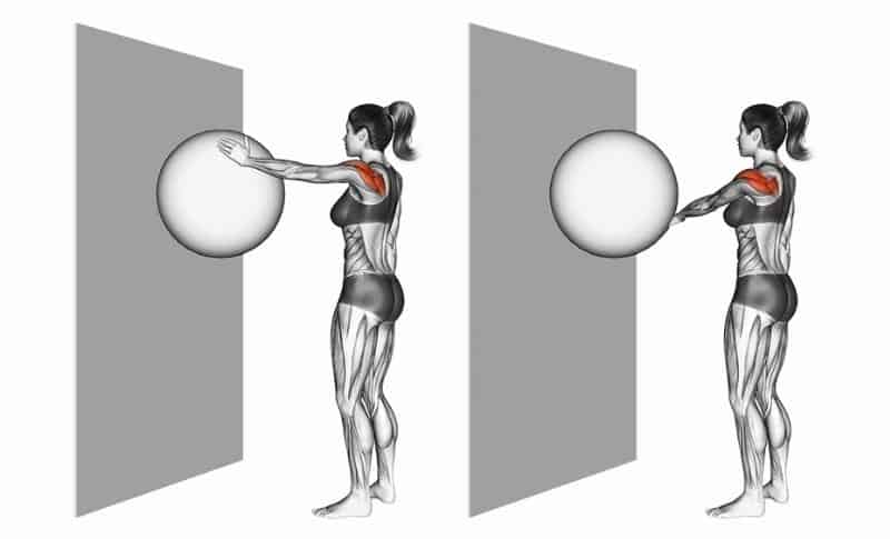 Best Scapular Exercises - Wall Ball Circles