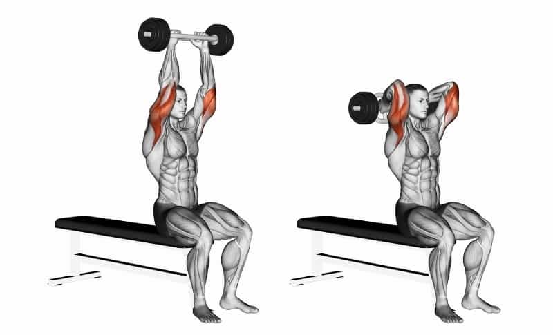 Best Upper Body Exercises - Tricep Extension