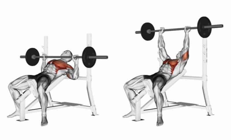 Best Upper Chest Exercises - Incline Barbell Bench Press