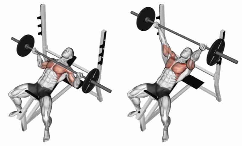 upper chest exercises with dumbbells