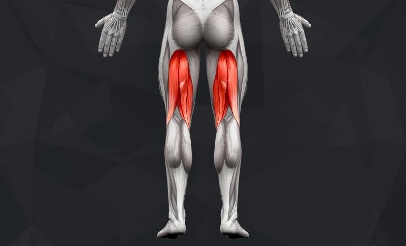 The Best Hamstring Exercises