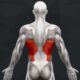 The Best Lower Back Exercises
