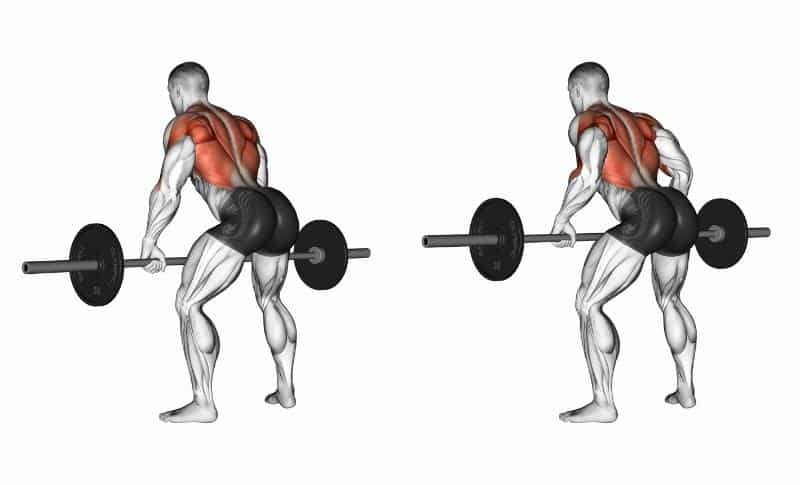 The Best Lower Back Exercises - Barbell Bent Over Rows