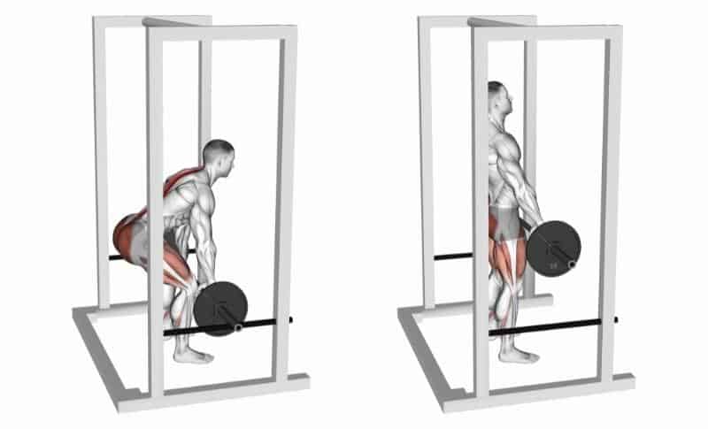 The Best Lower Back Exercises - Rack Pulls