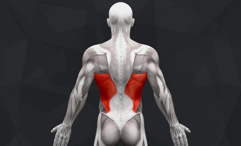 Lower back online training