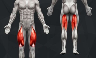 The Best Lower Body Exercises