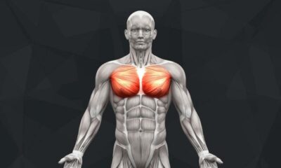 The Best Lower Chest Exercises