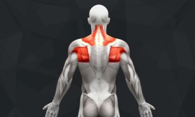 The Best Scapular Exercises