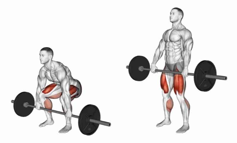 The Best Trap Exercises - Barbell Deadlifts