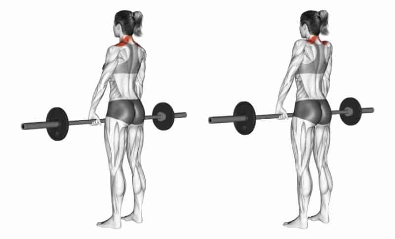The Best Trap Exercises - Barbell Shrugs