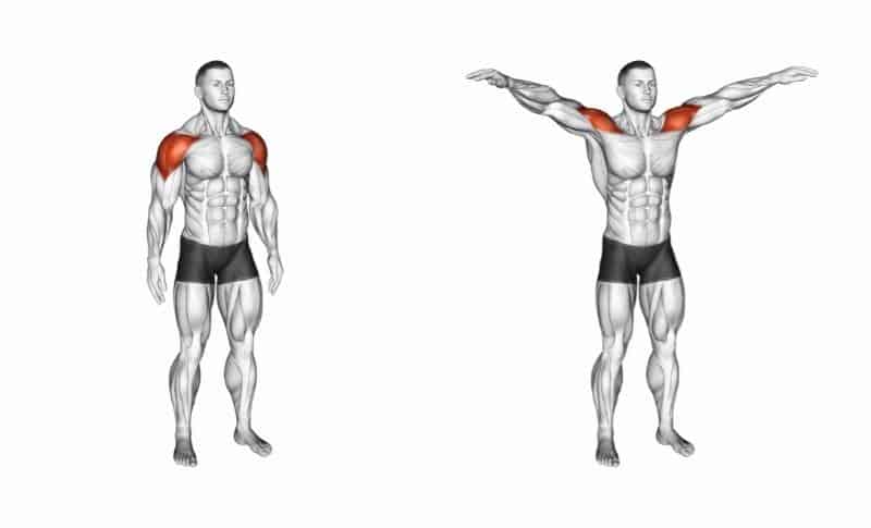 The Best Trap Exercises - Dumbbell Lateral Raises