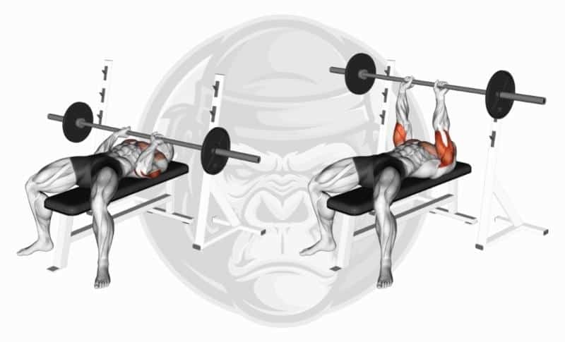 Best Lateral Head Tricep Exercises - Close Grip Bench Press