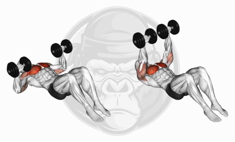 Best Lateral Head Tricep Exercises - Dumbbell Floor Press