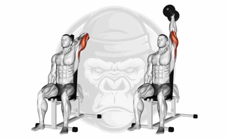 Best Lateral Head Tricep Exercises - Overhead Tricep Extensions
