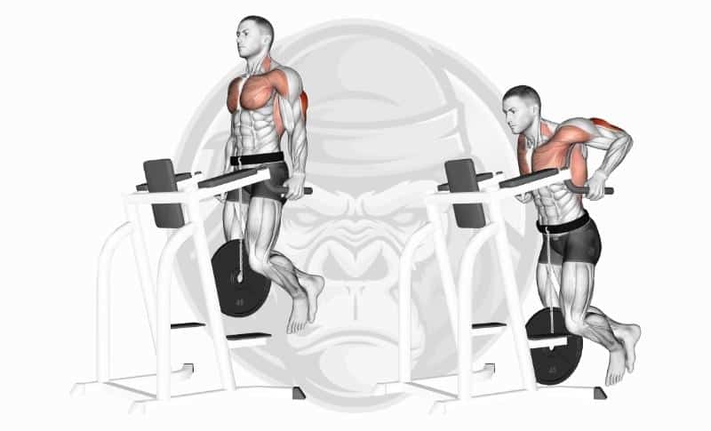 Best Lateral Head Tricep Exercises - Weighted Dips