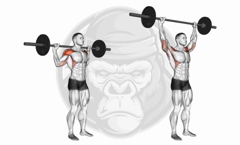 Best Long Head Tricep Exercises - Behind the Neck Overhead Press