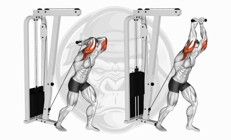 Best Long Head Tricep Exercises - Cable Overhead Tricep Extensions