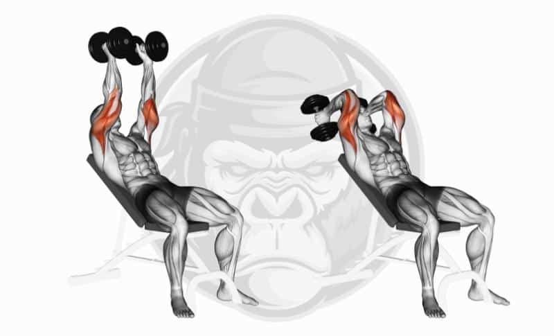 Best Long Head Tricep Exercises - Incline Dumbbell Tricep Extensions