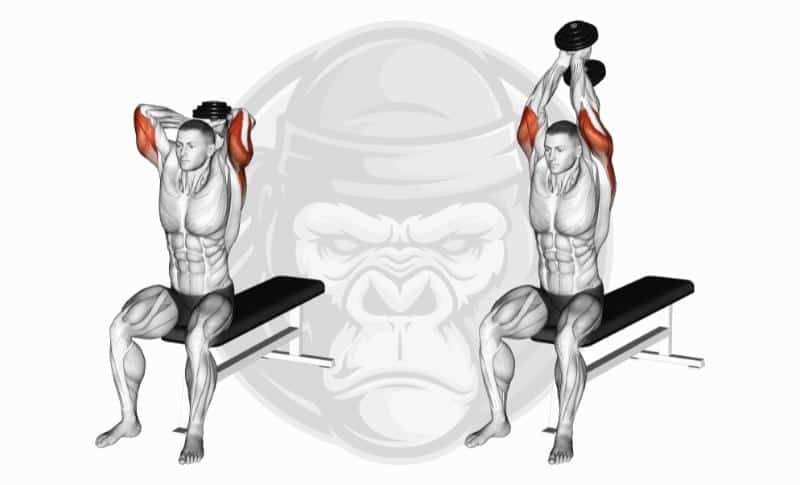 Best Long Head Tricep Exercises - Seated Dumbbell Overhead Extensions
