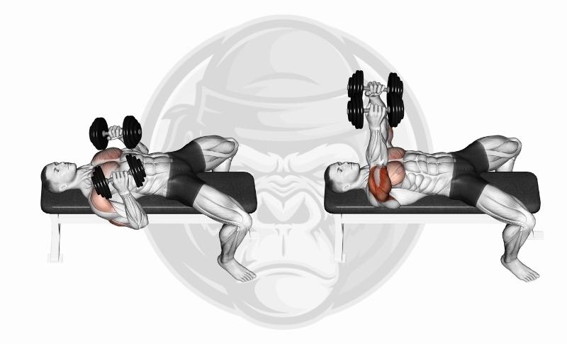 Best Medial Head Tricep Exercises - Dumbbell Reverse Grip Tricep Press
