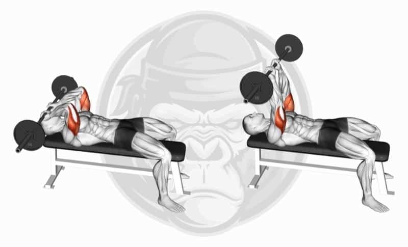 Best Medial Head Tricep Exercises - Lying Reverse Grip Tricep Extension