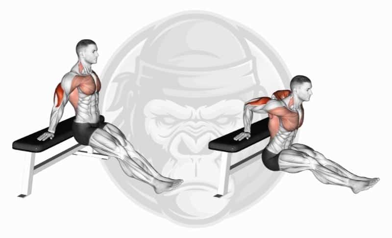 Best Medial Head Tricep Exercises - Palms Out Bench Dips