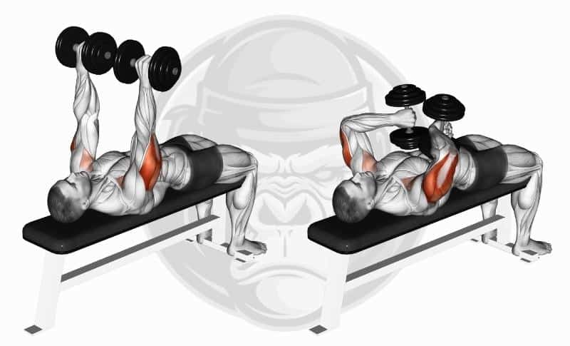 Best Medial Head Tricep Exercises - Tate Press