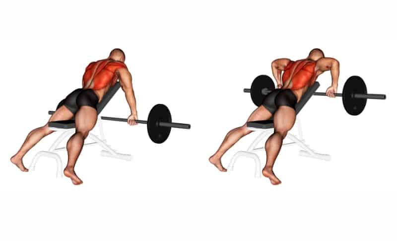 Upper back barbell exercises hot sale