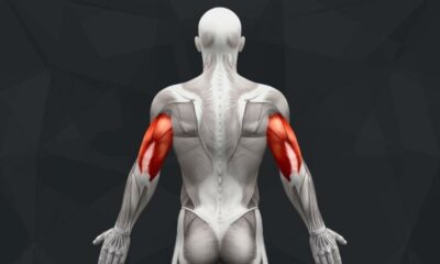 The Best Lateral Head Tricep Exercises